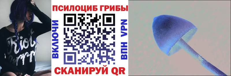 mega ССЫЛКА  Адыгейск  Псилоцибиновые грибы Psilocybe 